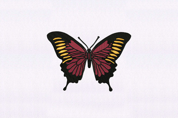 Red Orange Butterfly: A Designerβs Review